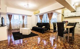City Center Bulevard Unirii Spacious Apartment